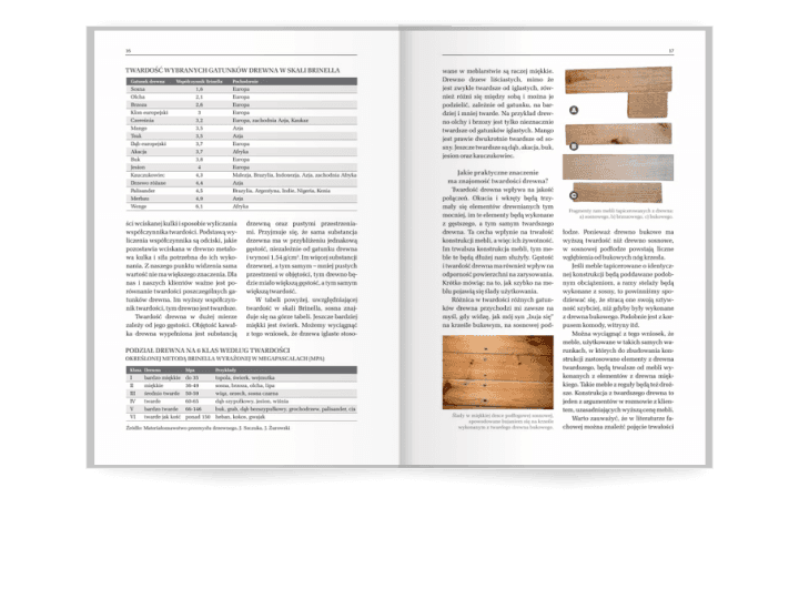 Słownik meblarski. Materiałoznawstwo nie tylko dla profesjonalistów. Rozkład poglądowy str. 16-17