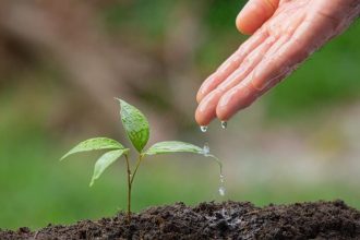 Akcja sadzenia drzew. Zdjęcie ilustracyjne. Fot. jcomp dla Freepik.