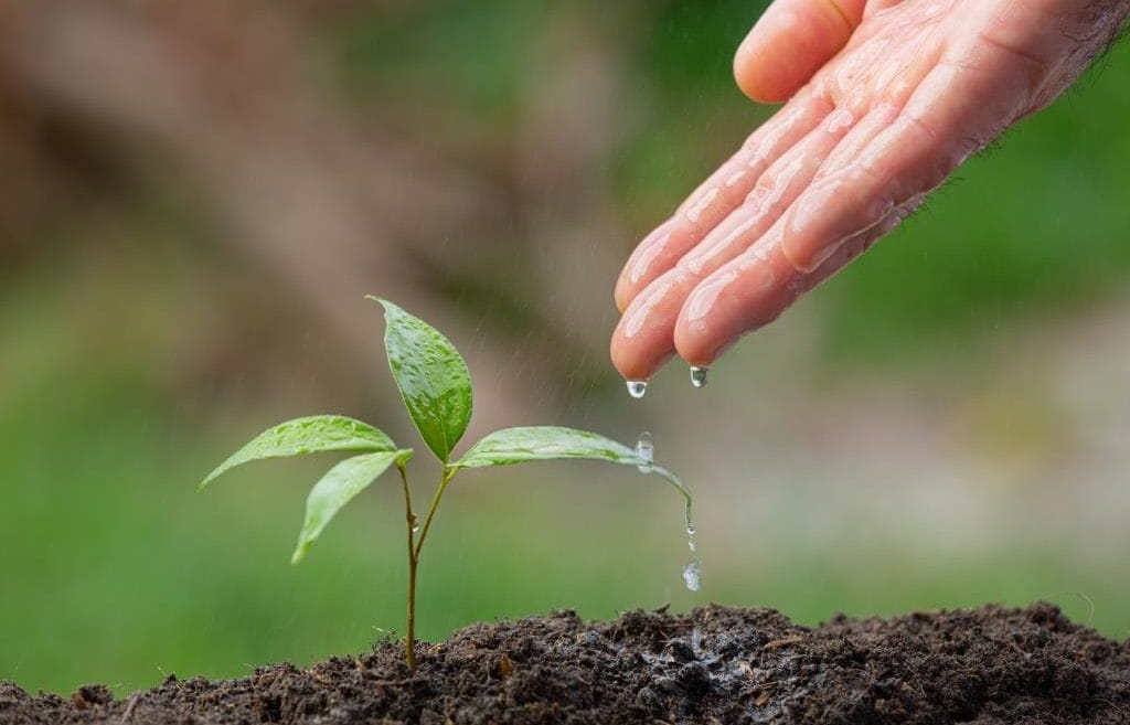 Akcja sadzenia drzew. Zdjęcie ilustracyjne. Fot. jcomp dla Freepik.