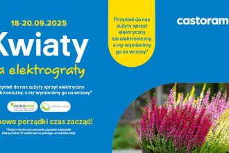 Jesienna odsłona akcji Kwiaty za elektrograty 2025 już w dniach 18-20 września. Przynieś do Castoramy zużyty sprzęt domowy elektryczny lub elektroniczny, a pracownicy sieci wymienią go na kwitnące wrzosy.