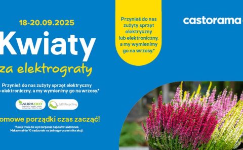 Jesienna odsłona akcji Kwiaty za elektrograty 2025 już w dniach 18-20 września. Przynieś do Castoramy zużyty sprzęt domowy elektryczny lub elektroniczny, a pracownicy sieci wymienią go na kwitnące wrzosy.