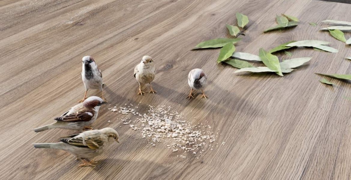 Stół z wzorem Mauvella Impress Decor z prawdziwymi wróbelkami, liśćmi i naturalnymi dodatkami – kreatywna prezentacja dekorów