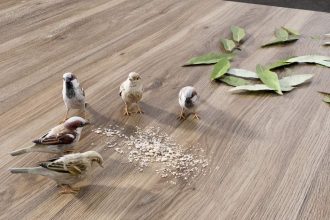 Stół z wzorem Mauvella Impress Decor z prawdziwymi wróbelkami, liśćmi i naturalnymi dodatkami – kreatywna prezentacja dekorów