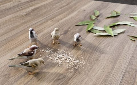 Stół z wzorem Mauvella Impress Decor z prawdziwymi wróbelkami, liśćmi i naturalnymi dodatkami – kreatywna prezentacja dekorów