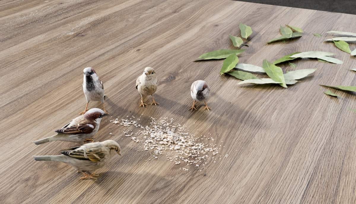 Stół z wzorem Mauvella Impress Decor z prawdziwymi wróbelkami, liśćmi i naturalnymi dodatkami – kreatywna prezentacja dekorów