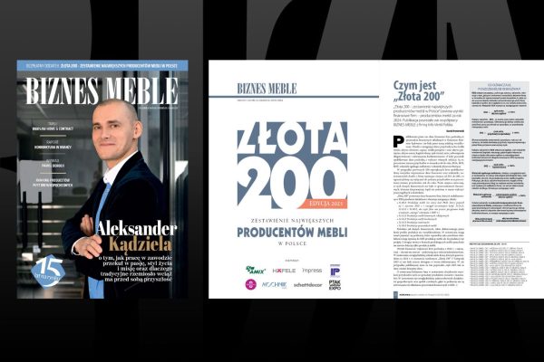 bm-grudzien-2025-okladka-i-zlota-200-miesiecznik-i-portal-branzy-meblarskiej-biznes-meble