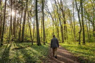 Źródło: FSC Polska.