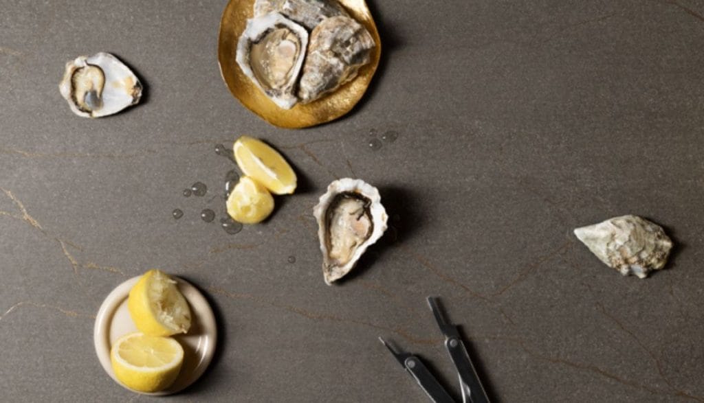 Blaty kompaktowe inspirowane naturą – muszle, organiczne struktury i mineralne dekory Fundermax