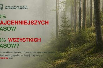 Koalicja na Rzecz Polskiego Drewna pyta o podstawę prawną, analizy i skutki gospodarcze decyzji obejmujących 1,43 mln ha lasu.