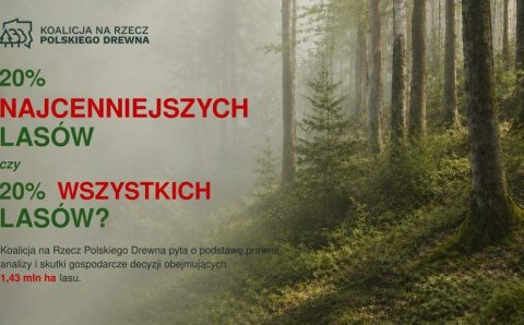 Koalicja na Rzecz Polskiego Drewna pyta o podstawę prawną, analizy i skutki gospodarcze decyzji obejmujących 1,43 mln ha lasu.