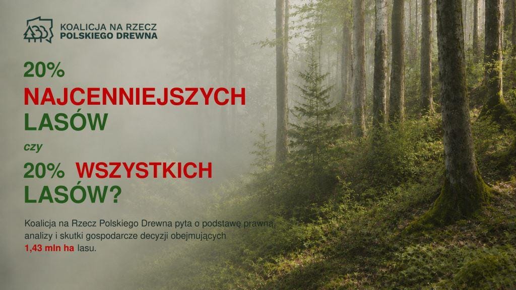 Koalicja na Rzecz Polskiego Drewna pyta o podstawę prawną, analizy i skutki gospodarcze decyzji obejmujących 1,43 mln ha lasu.