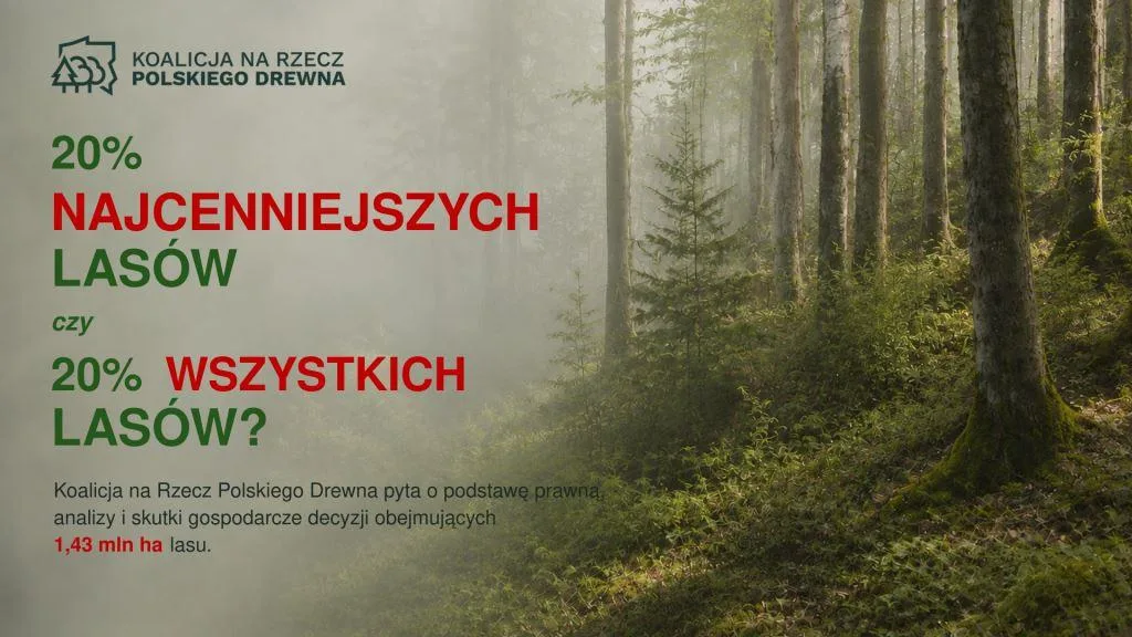 Koalicja na Rzecz Polskiego Drewna pyta o podstawę prawną, analizy i skutki gospodarcze decyzji obejmujących 1,43 mln ha lasu.